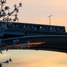 Stockholmsbild. Tunnelbana som åker över en bro i solnedgång.