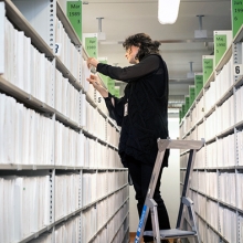 Syntolkning: En arkivarie står på en stege och bläddrar i arkivfilerna på Regionarkivet